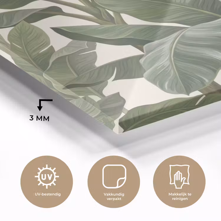 Planten - Bladeren - Tropisch - Groen plexiglas 5mm klein -sfeer2