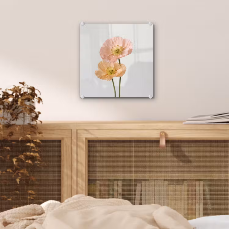 Papavers - Botanisch - Roze plexiglas 5mm klein -sfeer4