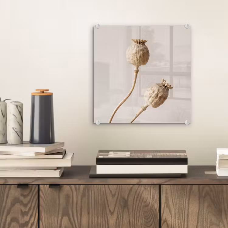 Papaverbollen - Droogbloemen - Minimalistisch - Beige - Rustig plexiglas 5mm klein -sfeer1