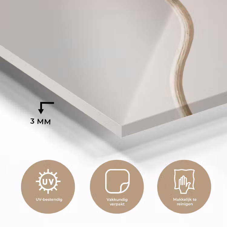 Papaverbollen - Droogbloemen - Minimalistisch - Beige - Rustig plexiglas 5mm klein -sfeer2