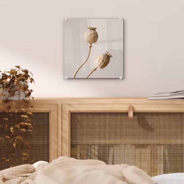 Papaverbollen - Droogbloemen - Minimalistisch - Beige - Rustig plexiglas 5mm klein -sfeer4