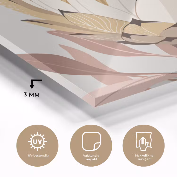 Protea - Bloem - Botanisch - Beige plexiglas 5mm klein -sfeer2