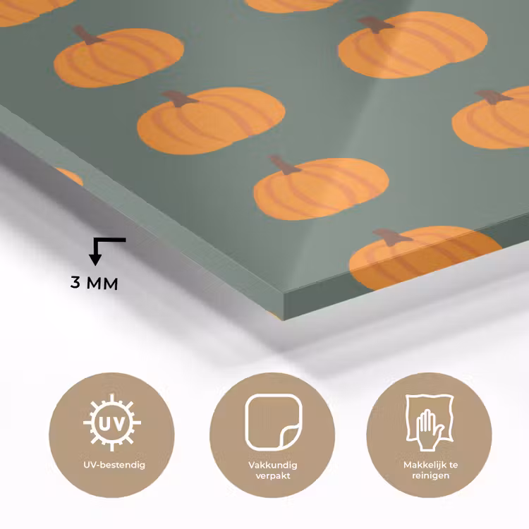 Pompoen - Patroon - Oranje plexiglas 5mm klein 11 -sfeer2