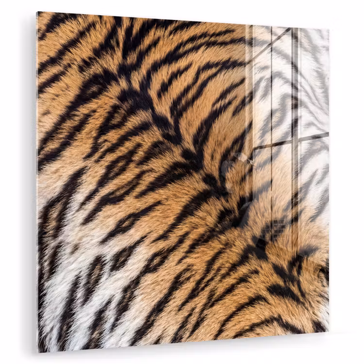 Realistisch - Tijgervacht - Zwart plexiglas 5mm klein -zzzproduct_nieuw