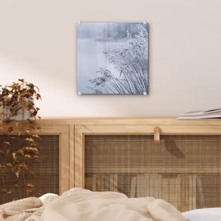 Riet - Bevroren - Winter - Natuur plexiglas 5mm klein -sfeer4