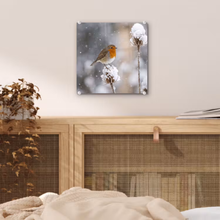 Roodborstje - Gedroogde bloem - Sneeuw - Winter - Vertederend plexiglas 5mm klein -sfeer4