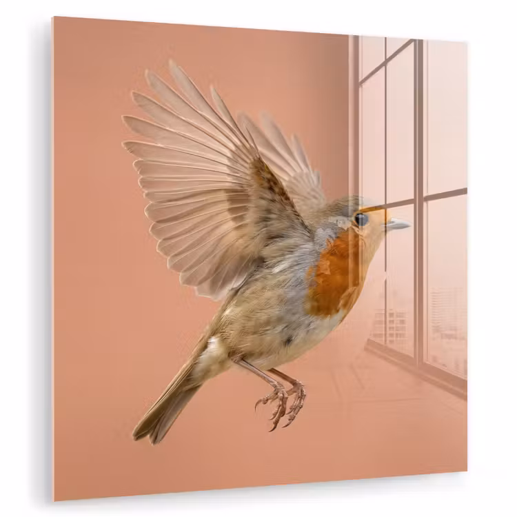 Roodborst - Natuur - Roze plexiglas 5mm klein -zzzproduct_nieuw