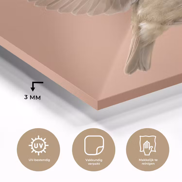 Roodborst - Natuur - Roze plexiglas 5mm klein -sfeer2