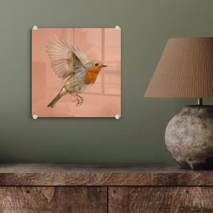 Roodborst - Natuur - Roze plexiglas 5mm klein -sfeer3