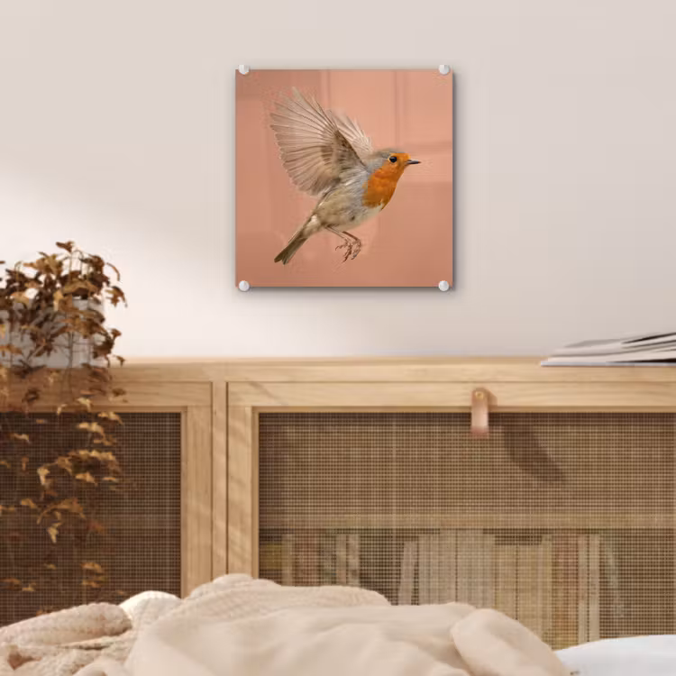 Roodborst - Natuur - Roze plexiglas 5mm klein -sfeer4