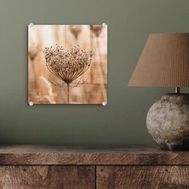 Schermbloem - Droogbloem - Winter - Beige - Minimalistisch plexiglas 5mm klein -sfeer3