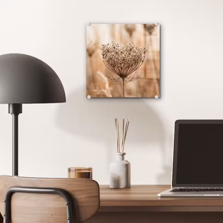 Schermbloem - Droogbloem - Winter - Beige - Minimalistisch plexiglas 5mm klein -sfeer6