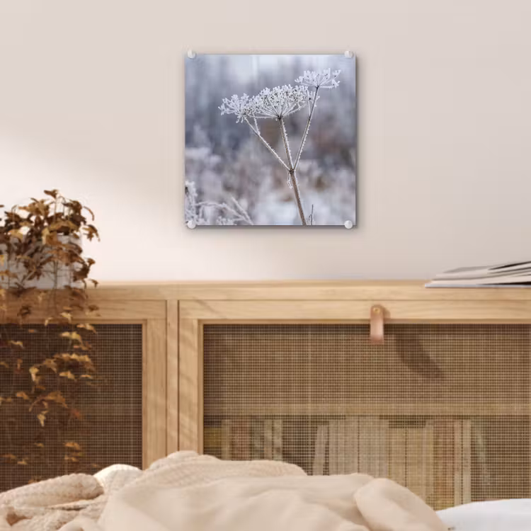 Schermbloem - Rijp - Kristallen - Winter - Delicaat plexiglas 5mm klein -sfeer4