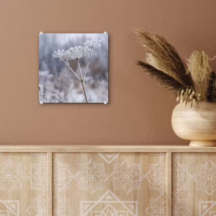 Schermbloem - Rijp - Kristallen - Winter - Delicaat plexiglas 5mm klein -sfeer5