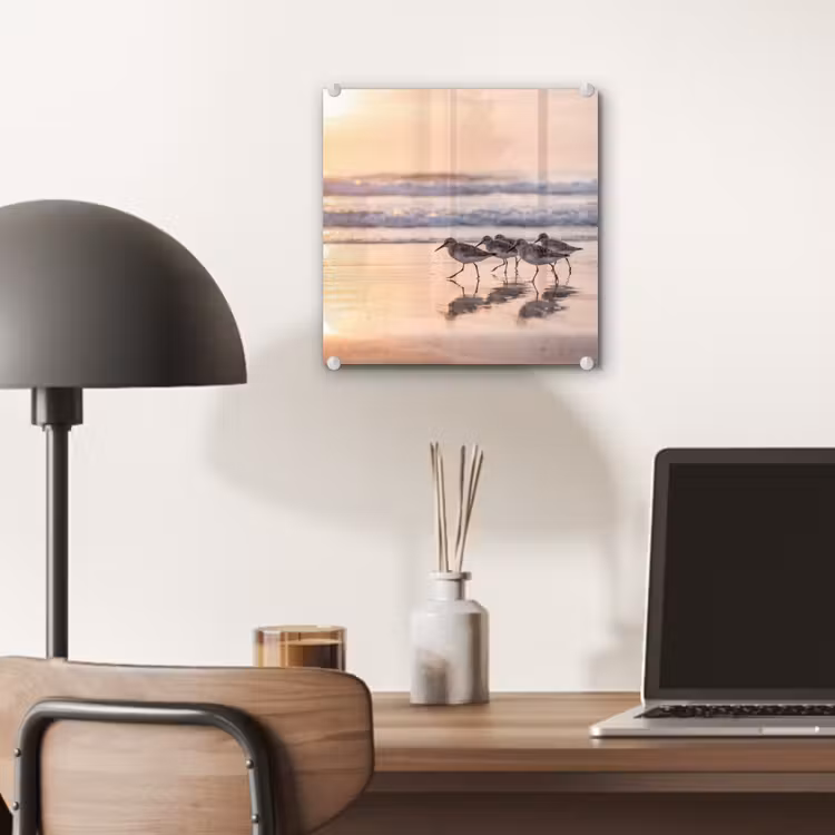 Zee - Vogels - Strand plexiglas 5mm klein -sfeer6