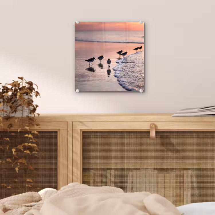 Meeuwen - Strand - Zee - Roze plexiglas 5mm klein -sfeer4