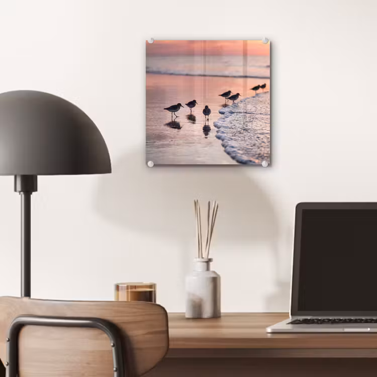 Meeuwen - Strand - Zee - Roze plexiglas 5mm klein -sfeer6