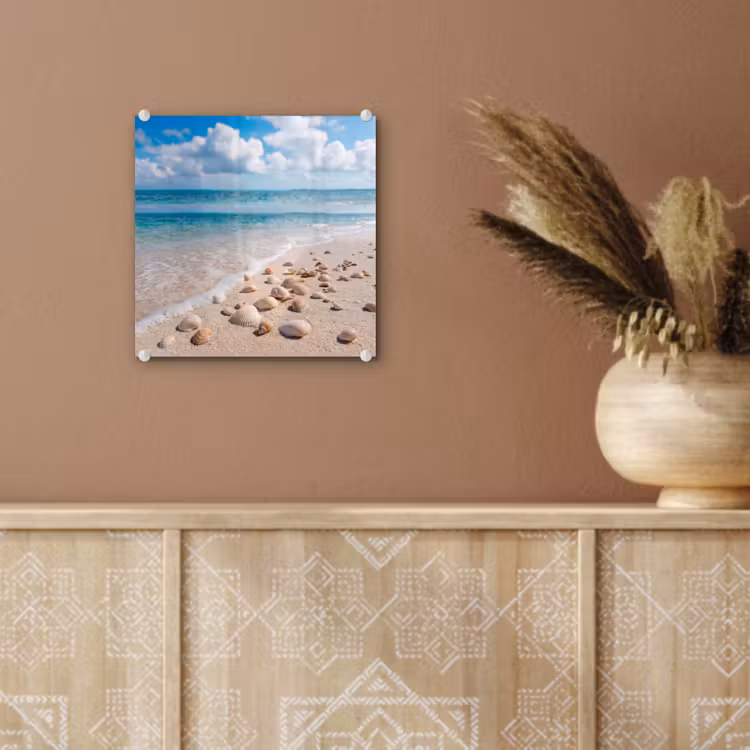 Schelpen - Strand - Natuur - Beige plexiglas 5mm klein -sfeer5
