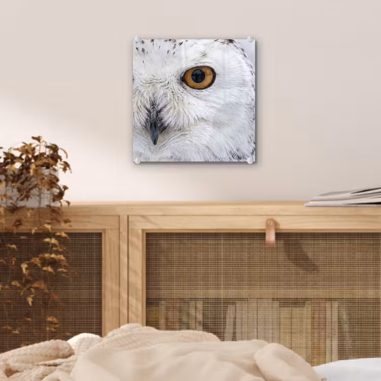 Sneeuwuil - Oog - Wildlife - Wit plexiglas 5mm klein -sfeer4