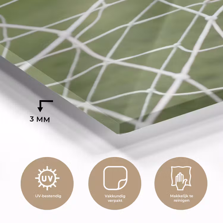 Voetbal - Goal - Net - Sport plexiglas 5mm klein -sfeer2