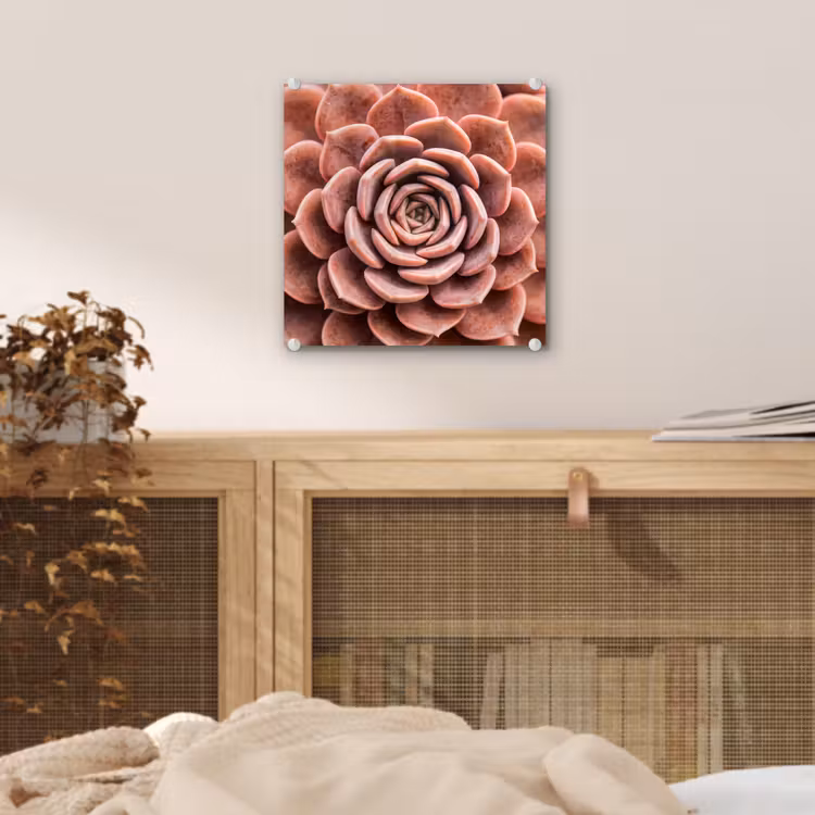 Vetplant - Organisch - Roze plexiglas 5mm klein -sfeer4