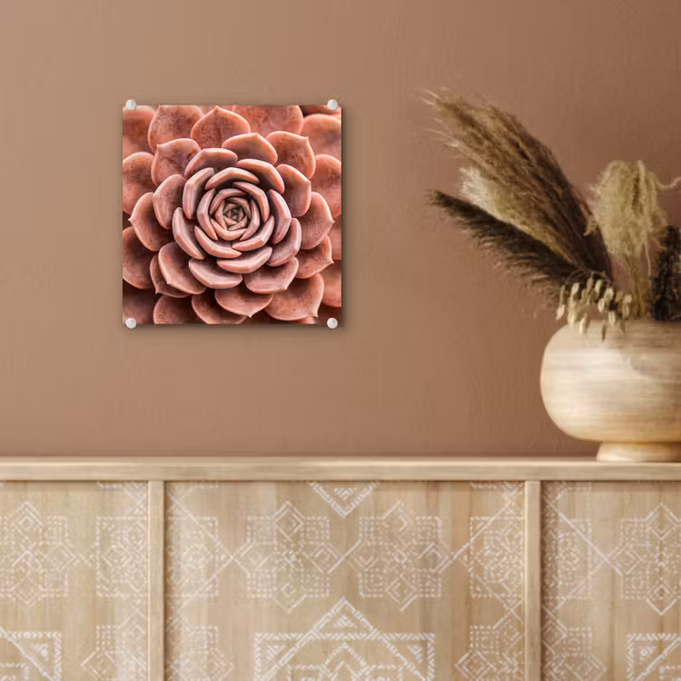 Vetplant - Organisch - Roze plexiglas 5mm klein -sfeer5
