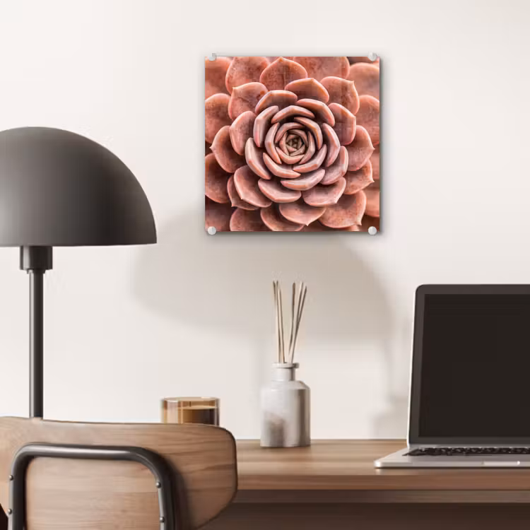 Vetplant - Organisch - Roze plexiglas 5mm klein -sfeer6
