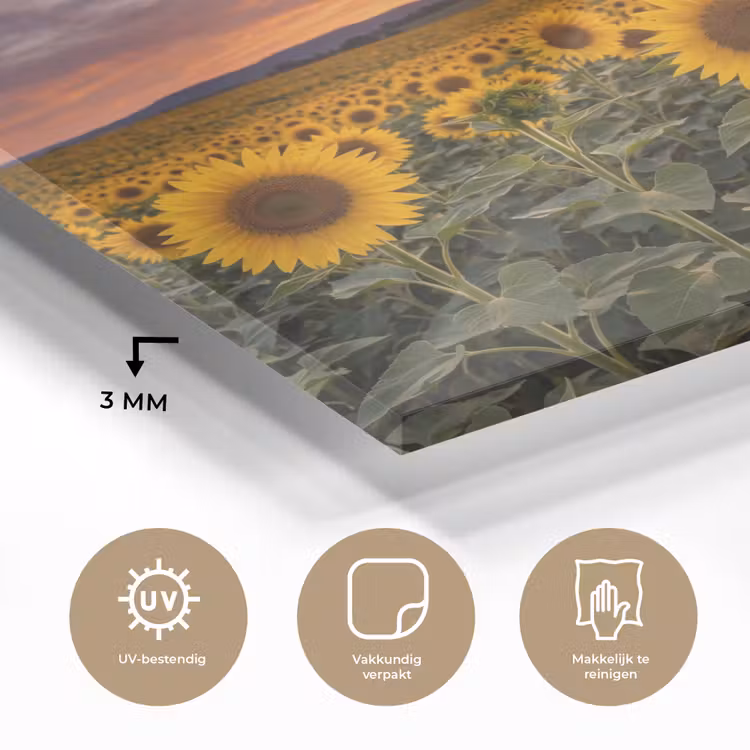 Zonnebloemen - Heuvellandschap - Geel plexiglas 5mm klein -sfeer2
