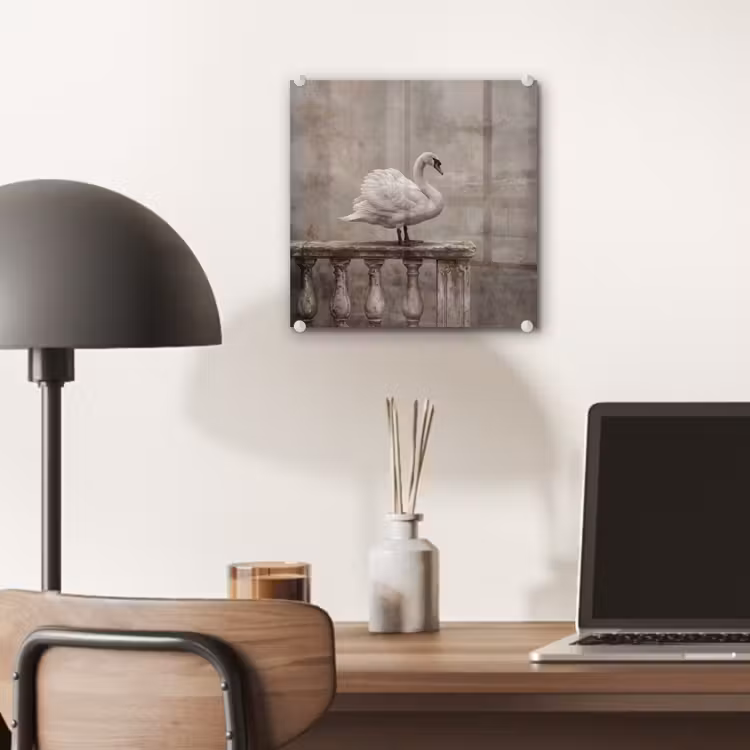 Zwaan - Elegant - Dieren - Wit plexiglas 5mm klein -sfeer6