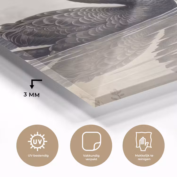 Zwanen - Hartvorm - Dieren plexiglas 5mm klein -sfeer2