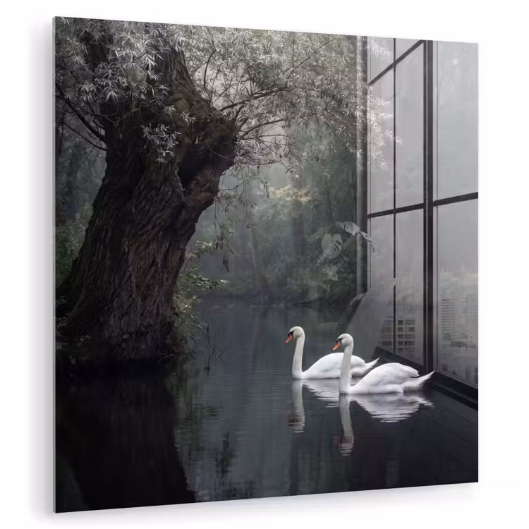 Zwanen - Rivier - Bos plexiglas 5mm klein -zzzproduct_nieuw