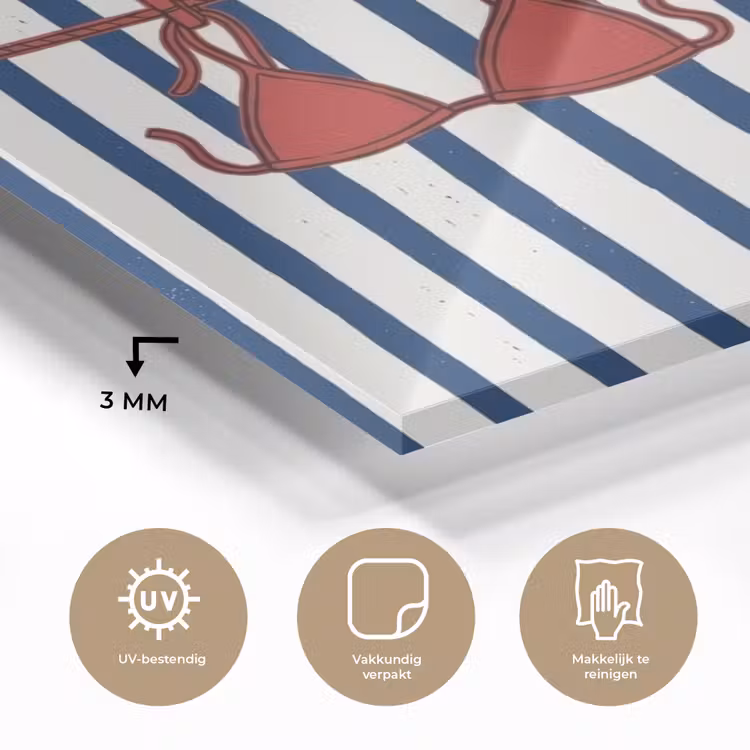 Badkleding - Waslijn - Zomer - Illustratie - Rood plexiglas 5mm klein -sfeer2