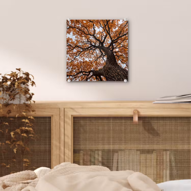 Boom - Bladerdak - Herfst - Oranje - Sfeervol plexiglas 5mm klein -sfeer4