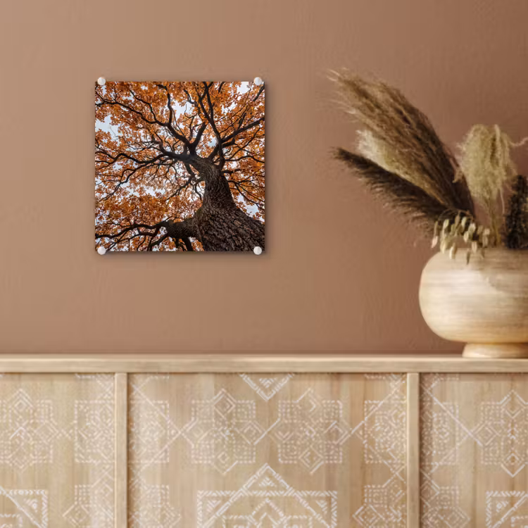 Boom - Bladerdak - Herfst - Oranje - Sfeervol plexiglas 5mm klein -sfeer5