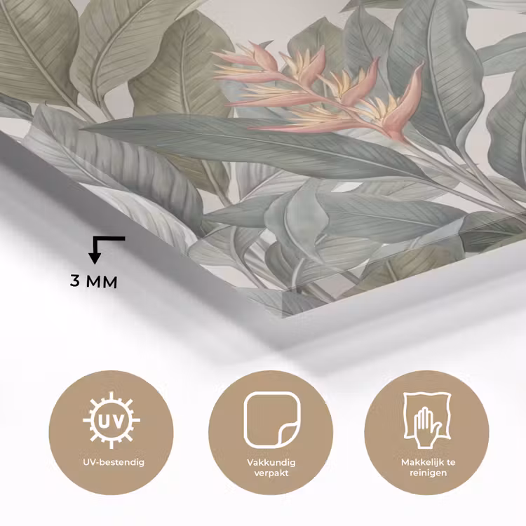 Tropisch - Planten - Modern - Groen plexiglas 5mm klein -sfeer2