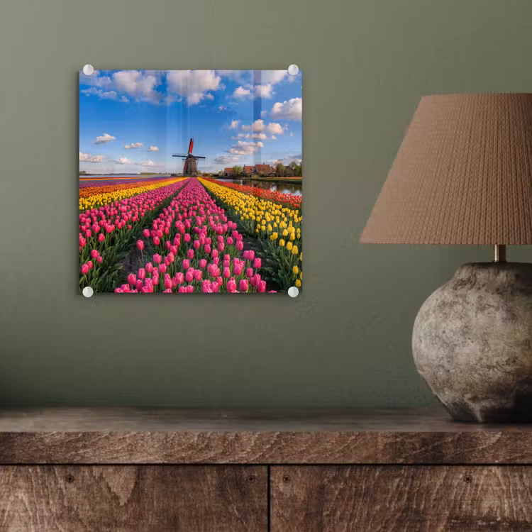 Tulpen - Holland - Molen - Kleurrijk plexiglas 5mm klein -sfeer3
