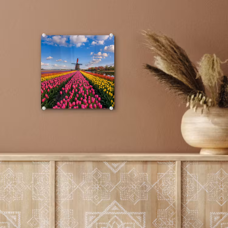 Tulpen - Holland - Molen - Kleurrijk plexiglas 5mm klein -sfeer5