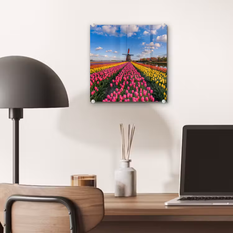 Tulpen - Holland - Molen - Kleurrijk plexiglas 5mm klein -sfeer6
