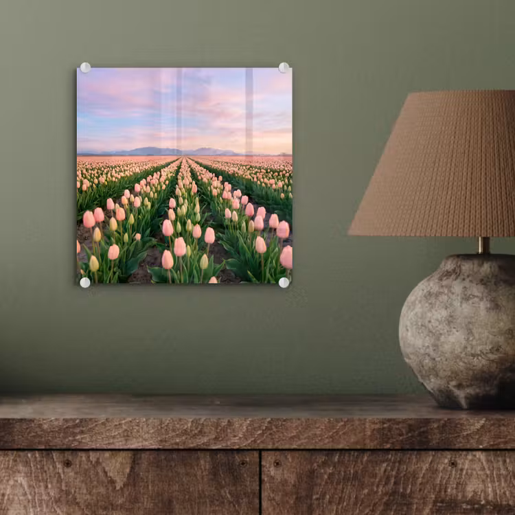 Tulpen - Landschap - Roze plexiglas 5mm klein -sfeer3
