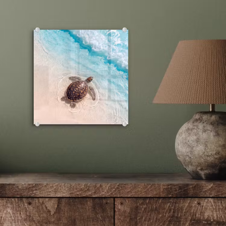 Schildpad - Helder water - Strand - Dieren - Natuur plexiglas 5mm klein -sfeer3