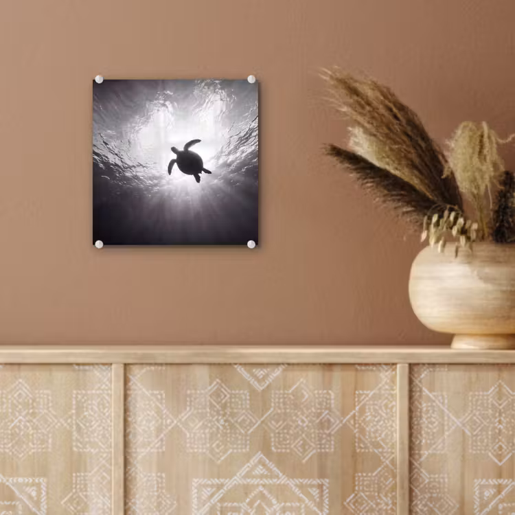 Schildpad - Onderwater - Lichtstralen - Oceaan - Zwart-wit plexiglas 5mm klein -sfeer5