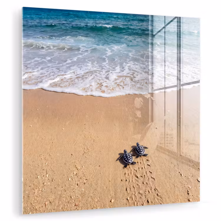 Schildpad - Jong - Strand - Oceaan - Blauw plexiglas 5mm klein -zzzproduct_nieuw