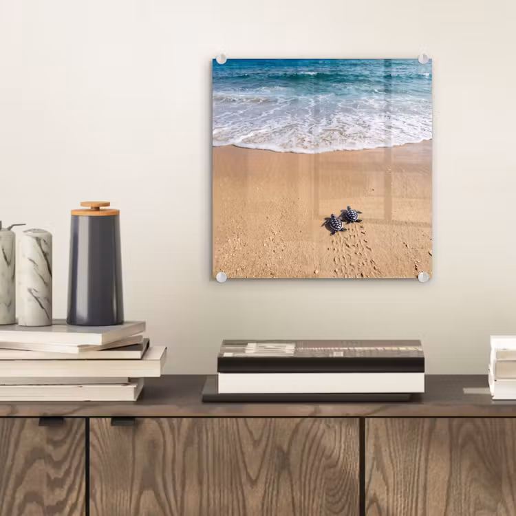 Schildpad - Jong - Strand - Oceaan - Blauw plexiglas 5mm klein -sfeer1