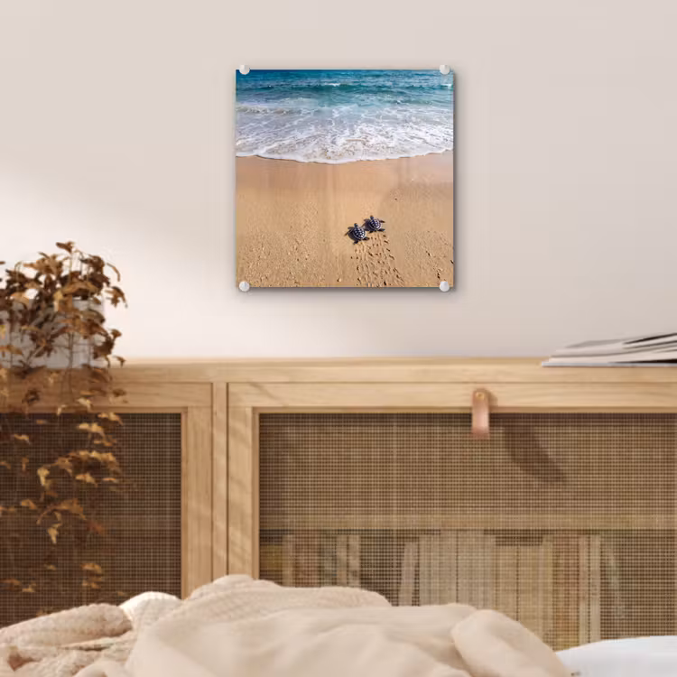 Schildpad - Jong - Strand - Oceaan - Blauw plexiglas 5mm klein -sfeer4