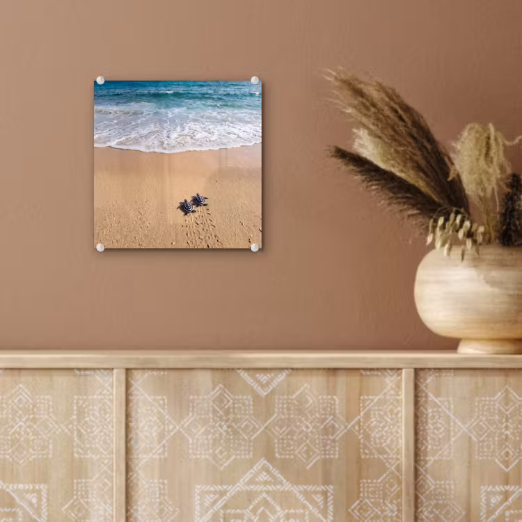 Schildpad - Jong - Strand - Oceaan - Blauw plexiglas 5mm klein -sfeer5