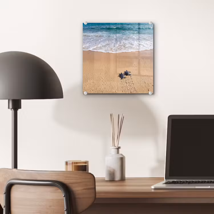 Schildpad - Jong - Strand - Oceaan - Blauw plexiglas 5mm klein -sfeer6