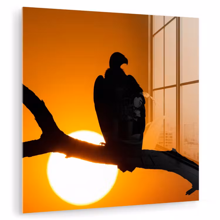 Gier - Tak - Zon - Oranje plexiglas 5mm klein -zzzproduct_nieuw