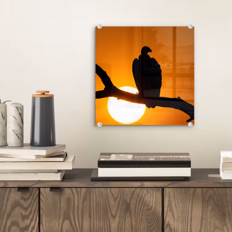 Gier - Tak - Zon - Oranje plexiglas 5mm klein -sfeer1