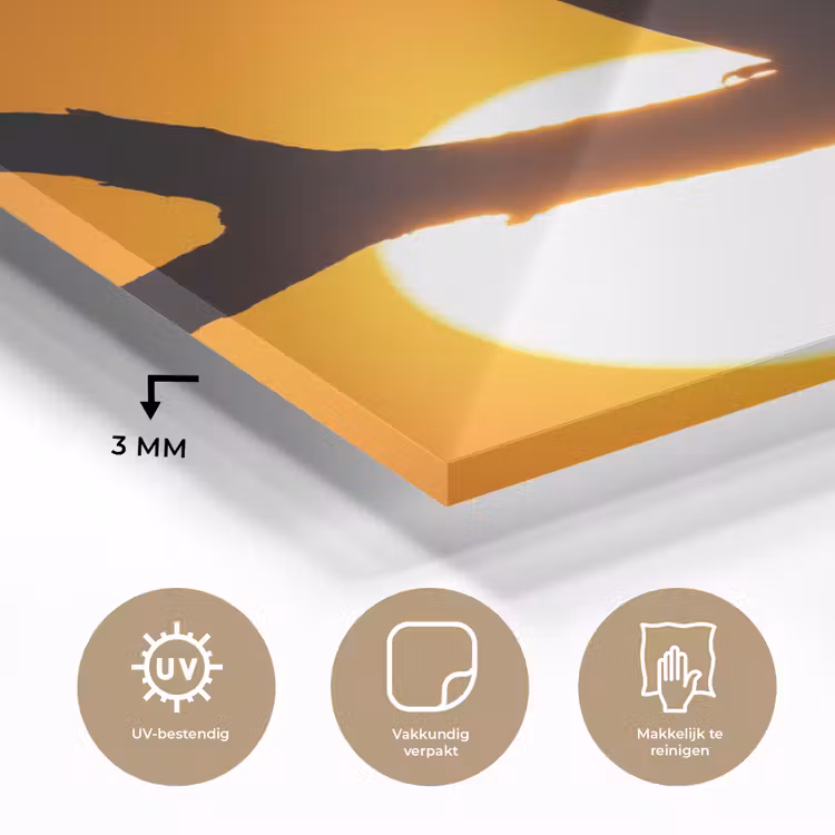 Gier - Tak - Zon - Oranje plexiglas 5mm klein -sfeer2