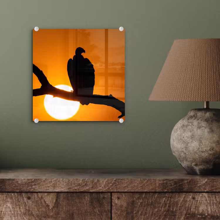 Gier - Tak - Zon - Oranje plexiglas 5mm klein -sfeer3